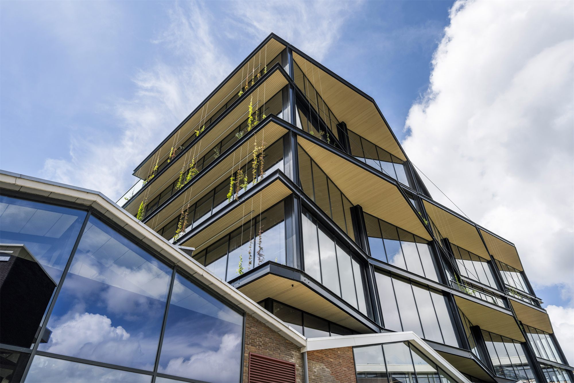 Kauwgomballenfabriek — Amsterdam