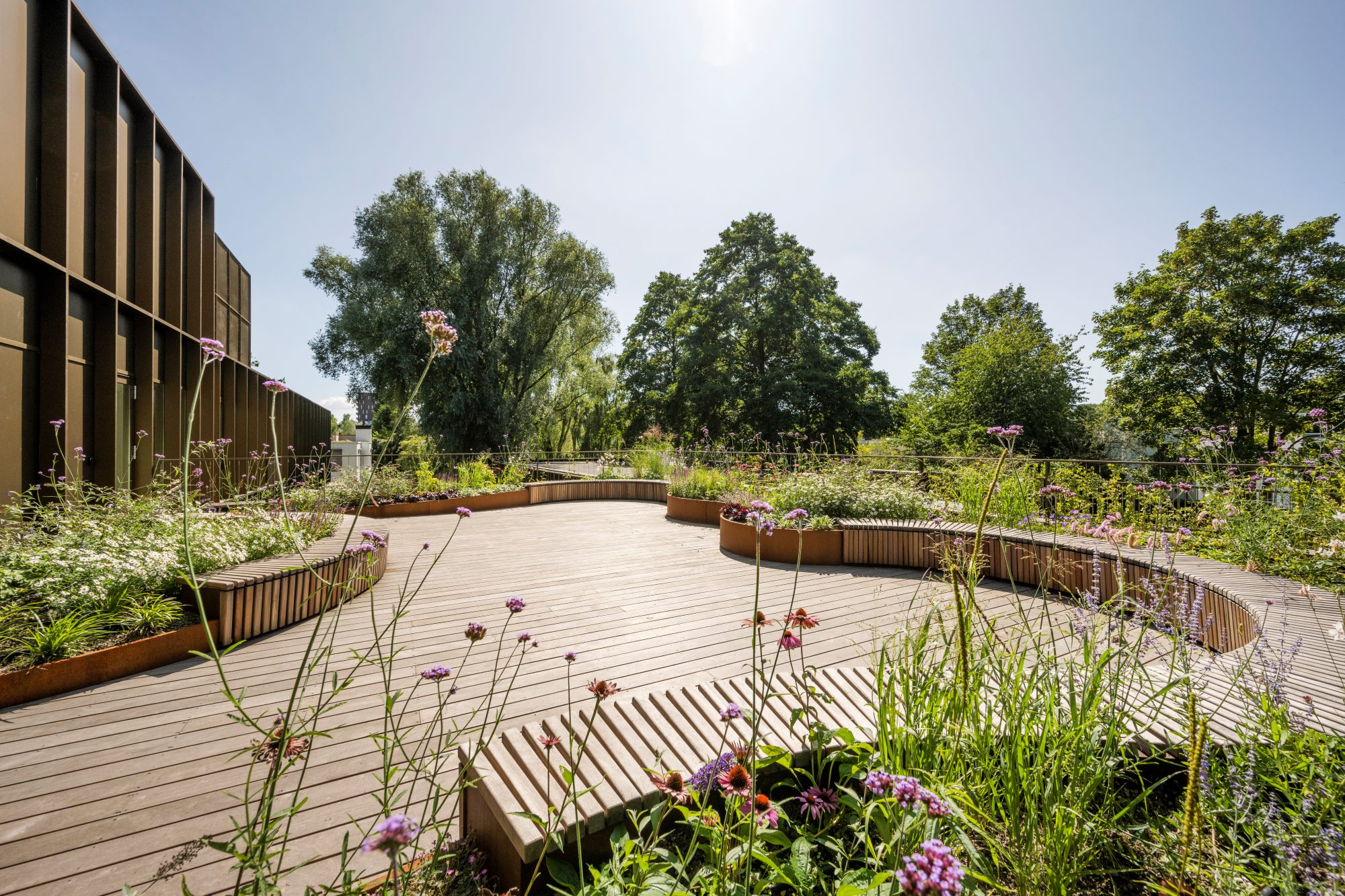 Het dakterras met uitzicht over het groen